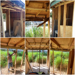 Shed Exterior Rehab